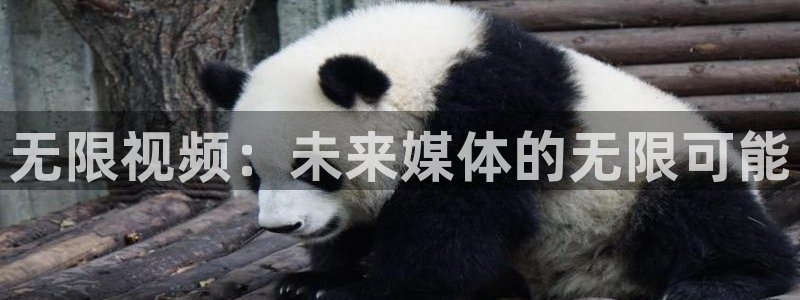 电影琪琪影院：无限视频：未来媒体的无限可能