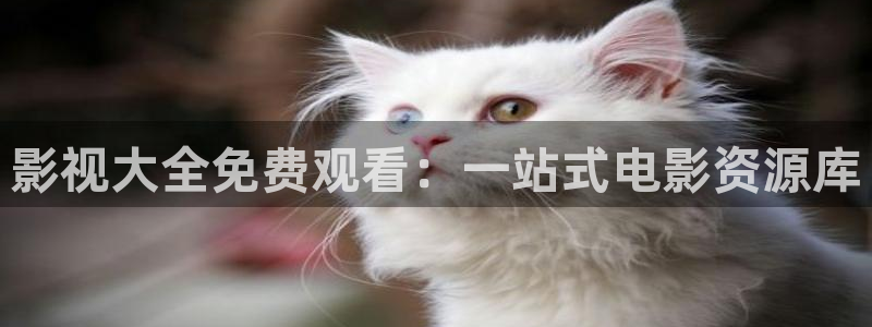 琪琪影视：影视大全免费观看：一站式电影资源库