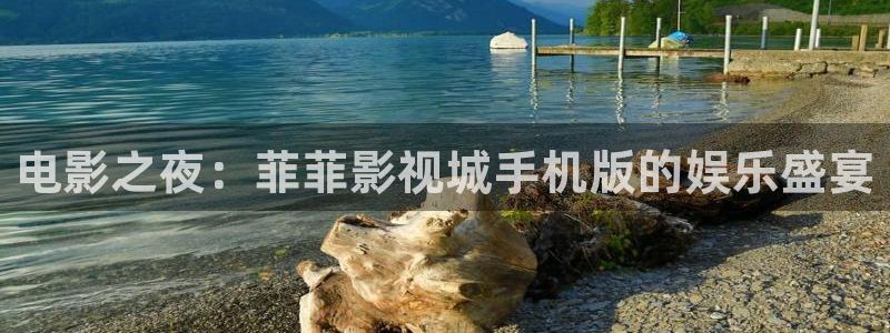 琪琪色影院小说：电影之夜：菲菲影视城手机版的娱乐盛宴